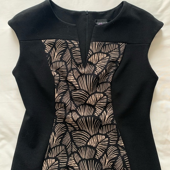 Black and Tan Dress - Picture 2 of 4